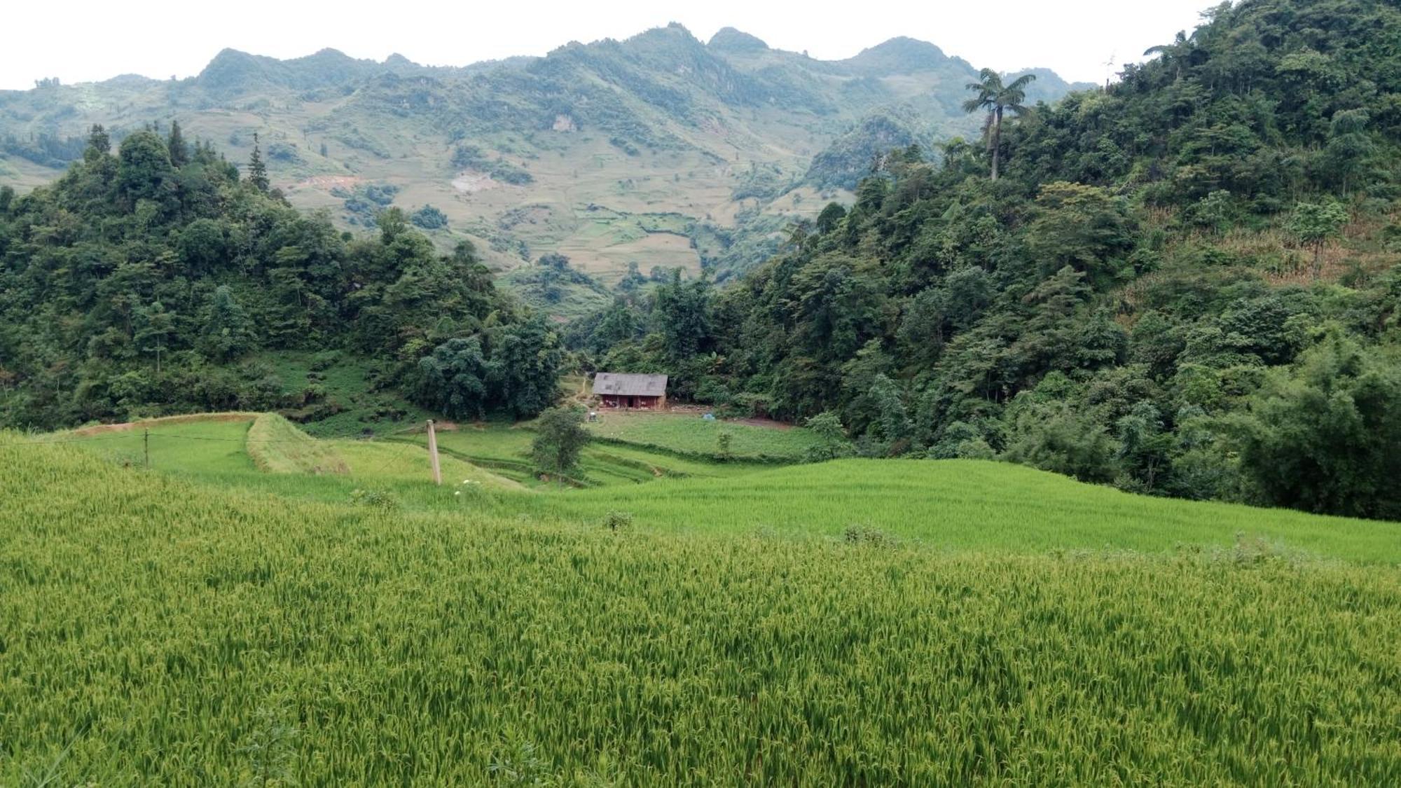 Higland Homestay Bac Ha المظهر الخارجي الصورة