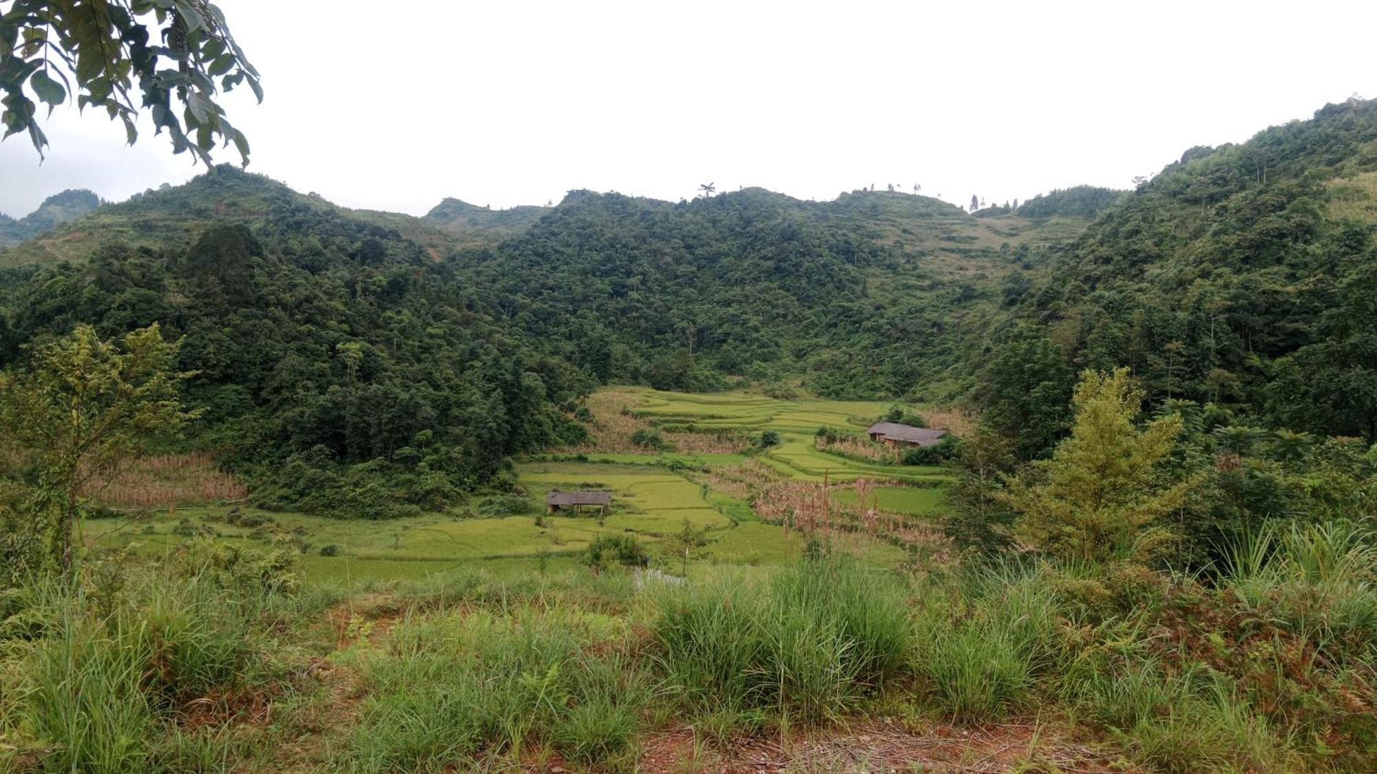 Higland Homestay Bac Ha المظهر الخارجي الصورة