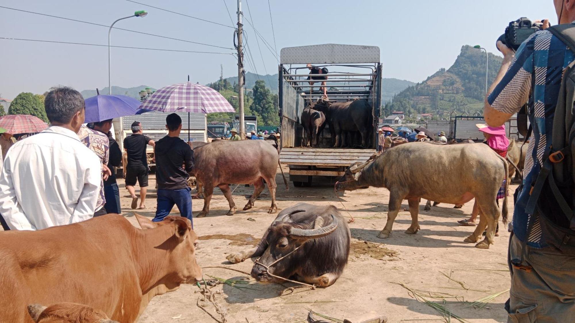 Higland Homestay Bac Ha المظهر الخارجي الصورة